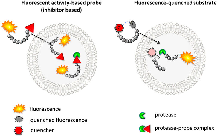 Probing Complex Chemical Processes at the Molecular Level with