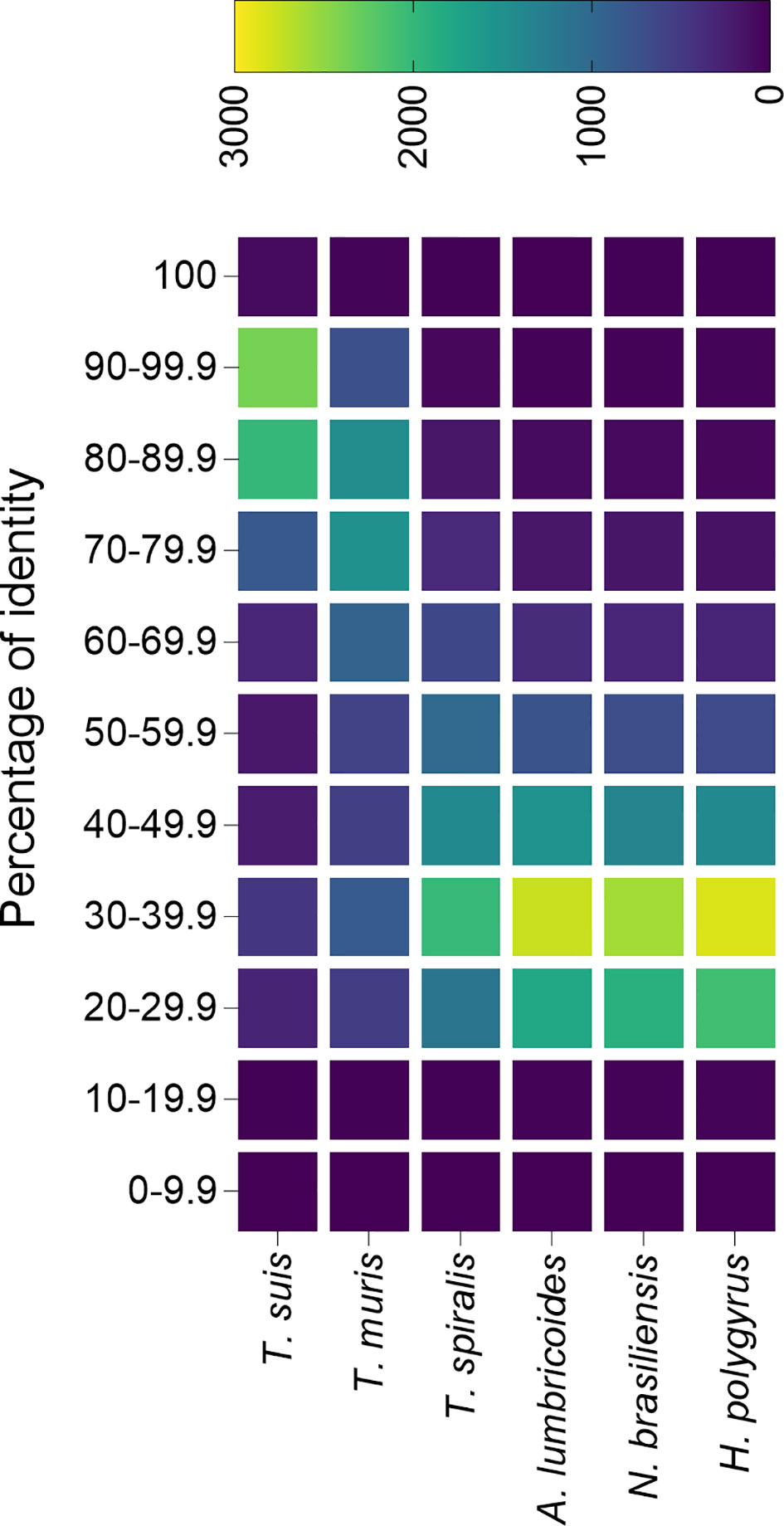 Frontiers Rodent Models For The Study Of Soil Transmitted Helminths A Proteomics Approach Cellular And Infection Microbiology