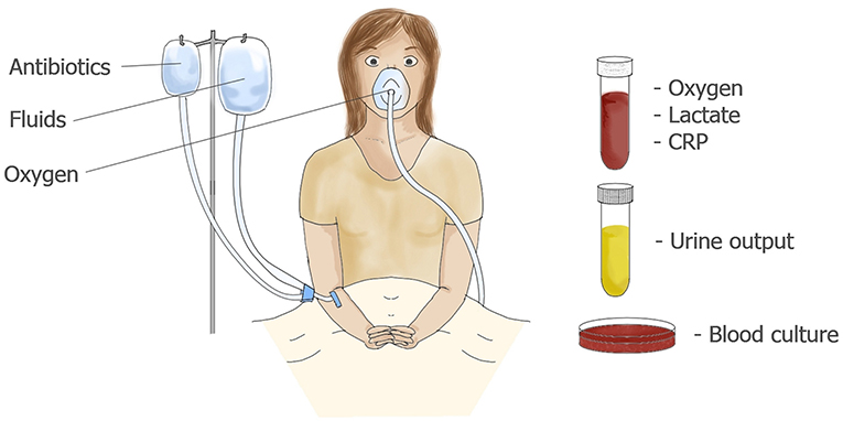 Figure 2 - A patient with suspected sepsis may be given intravenous fluids and oxygen.
