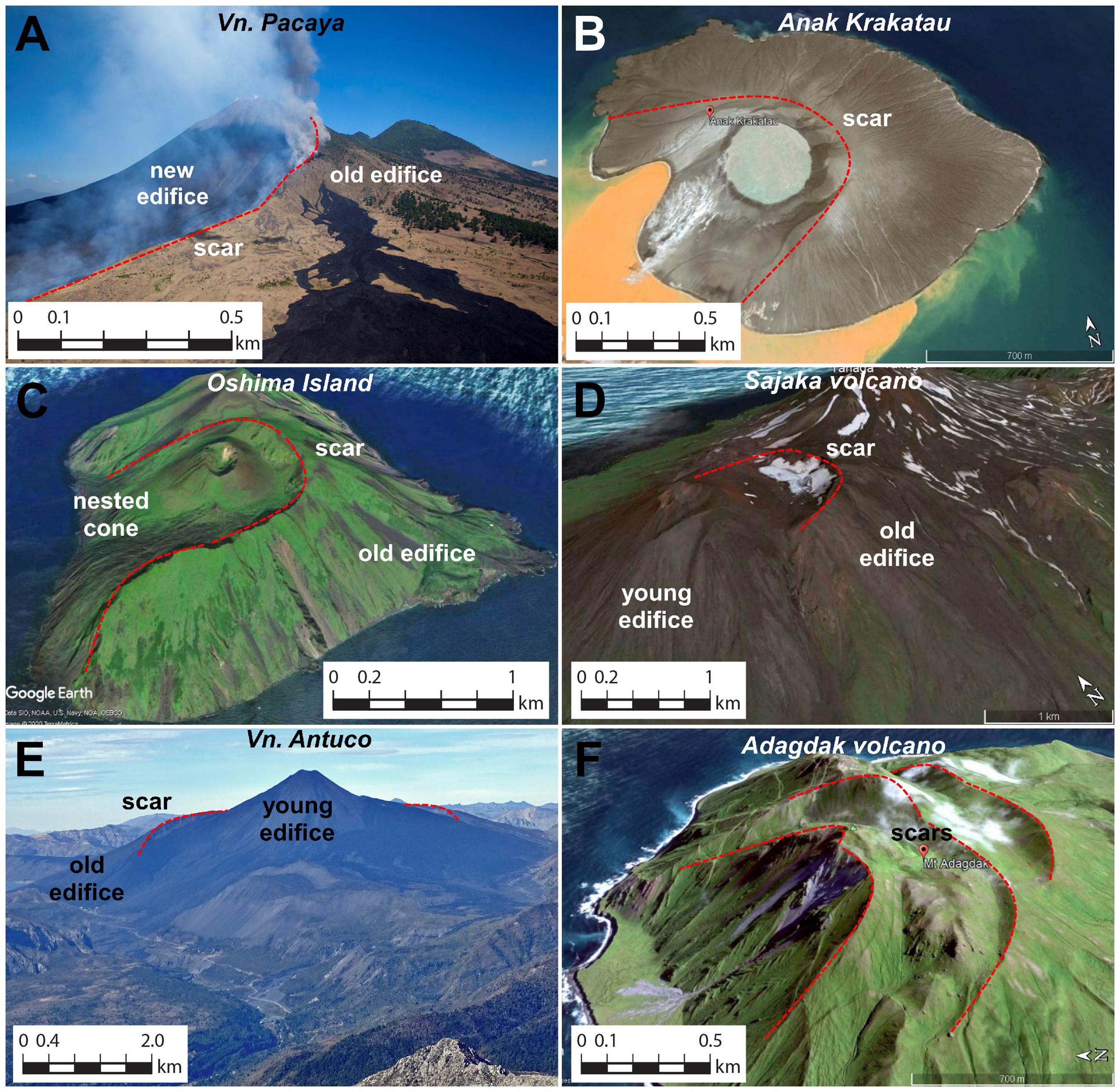 Biotic consequences of a volcanic flank collapse. (a) Flank collapse is