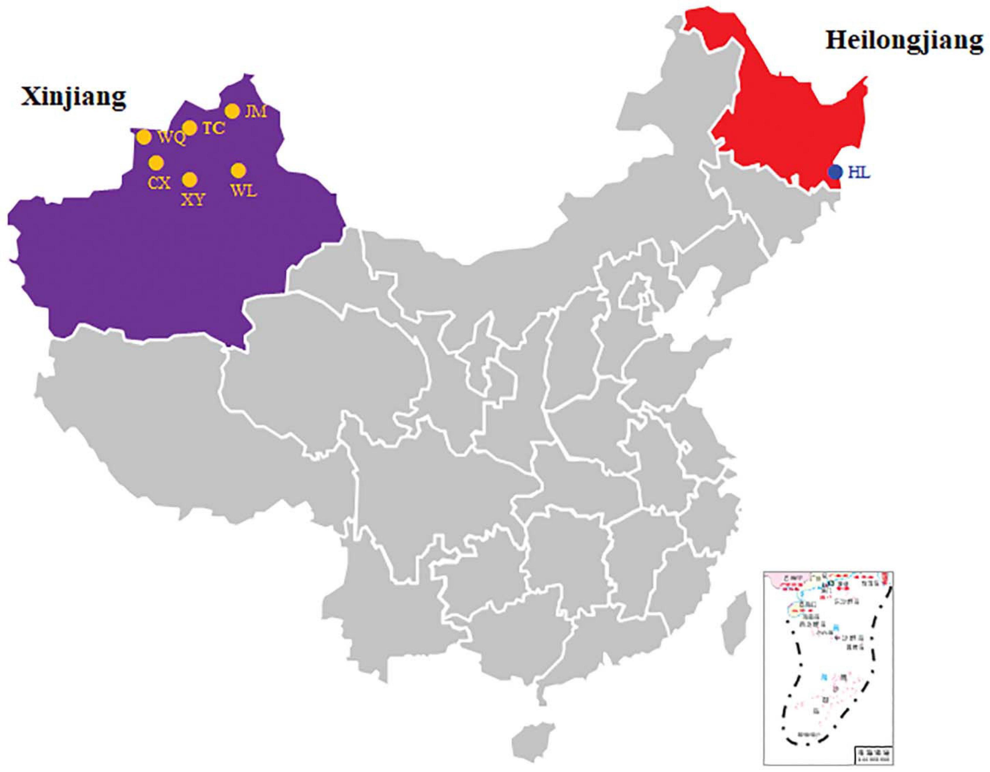 www.frontiersin.org