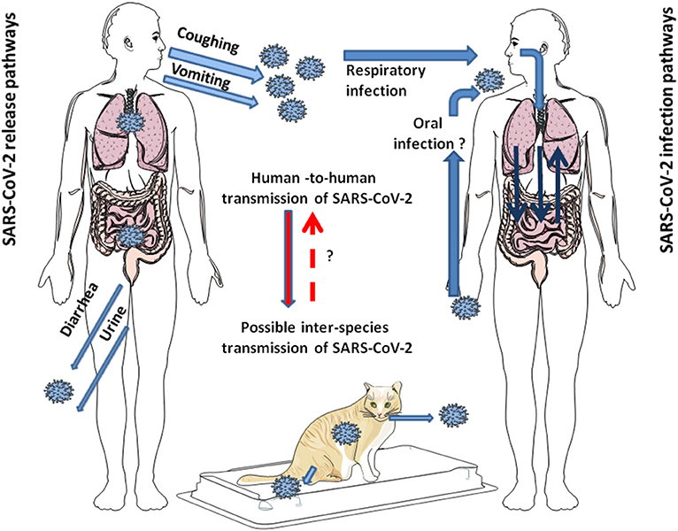 To Get To The Bottom Of Your Microbiome, Start With A Swab Of Poo, NPR  Article