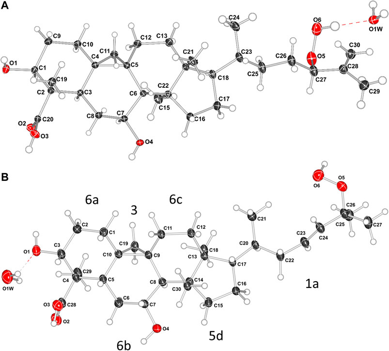 8.2 состав. Математическая модель структурной химии Дугунджи-уги. C₁₀h₁₃no₂ состав. Кристаллическая структура токсина II из скорпиона. Non-Liner structure of Compound.