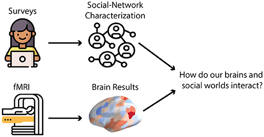 Figure 2 - How scientists study social networks and brains together.