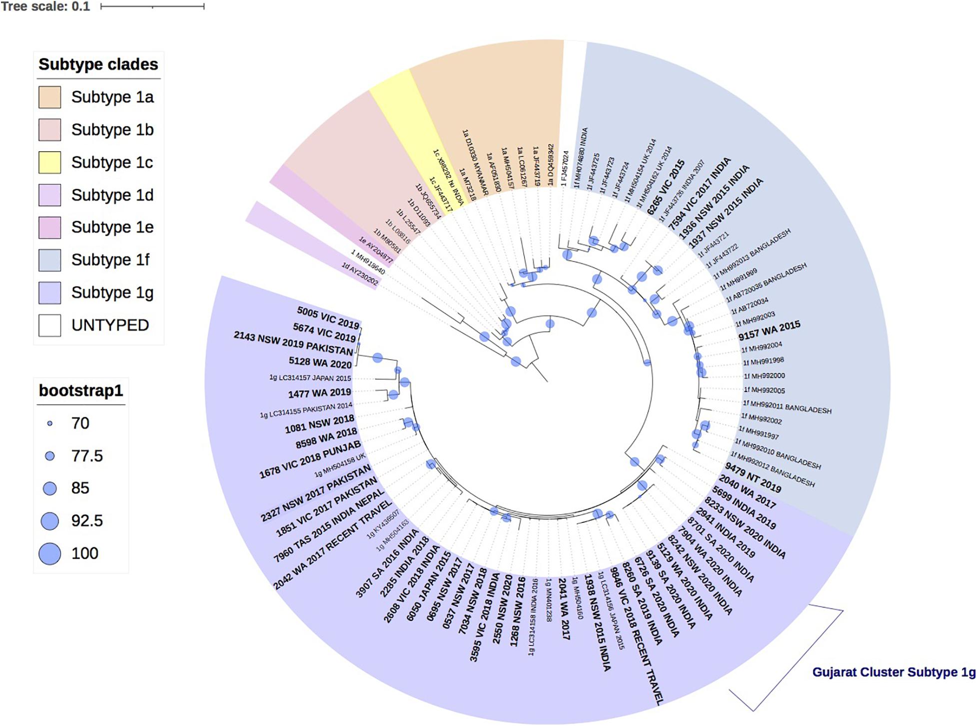 Frontiers Autochthonous And Travel Acquired Hepatitis E Virus In Australia Microbiology