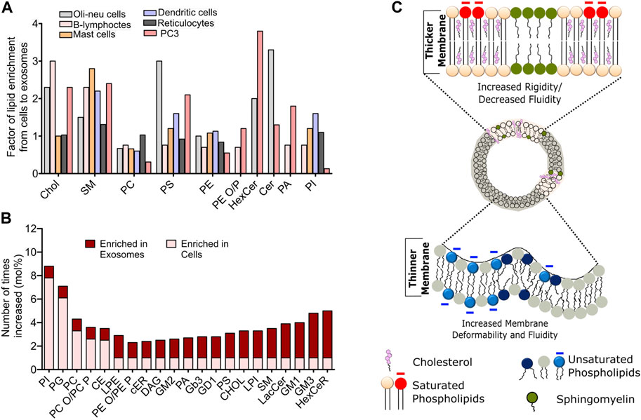 Activity-Based Imaging of Lipid Environments Targeted by Peroxynitrite in  Biomimetic Vesicles and Live Cells