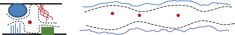 www.frontiersin.org