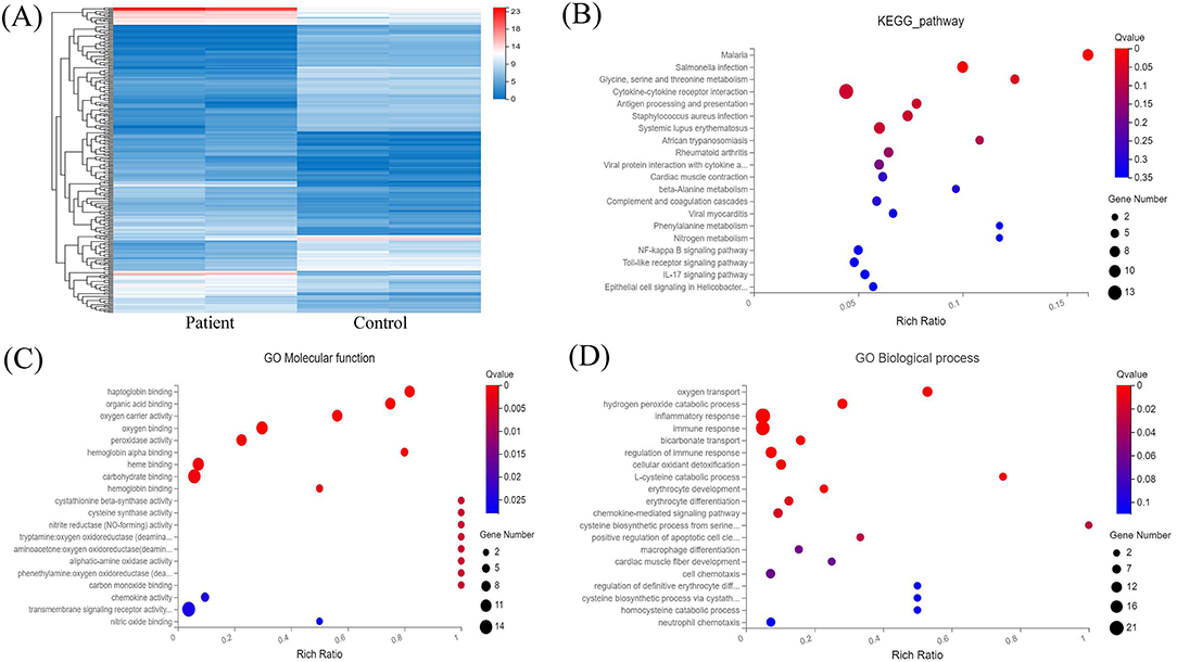 Rubinstein‐Taybi syndrome in Chinese population with four novel mutations -  Yu - 2021 - American Journal of Medical Genetics Part A - Wiley Online  Library