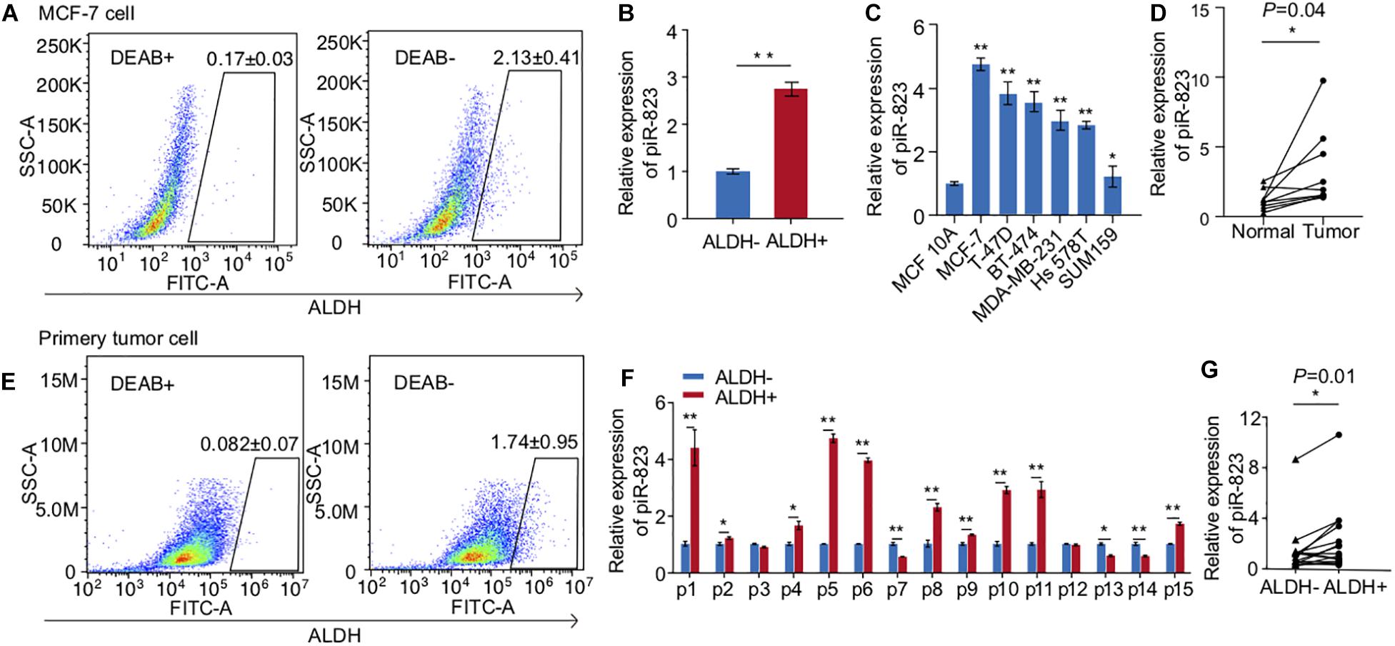 Frontiers  MicroRNA-34a: Potent Tumor Suppressor, Cancer Stem Cell  Inhibitor, and Potential Anticancer Therapeutic