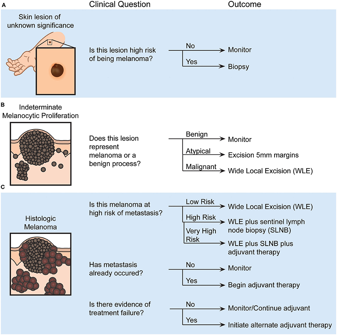 Frontiers  Molecular Biomarkers for Melanoma Screening, Diagnosis