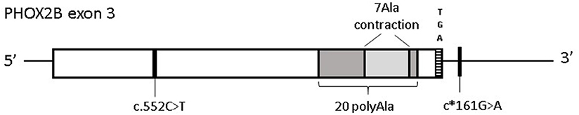 www.frontiersin.org