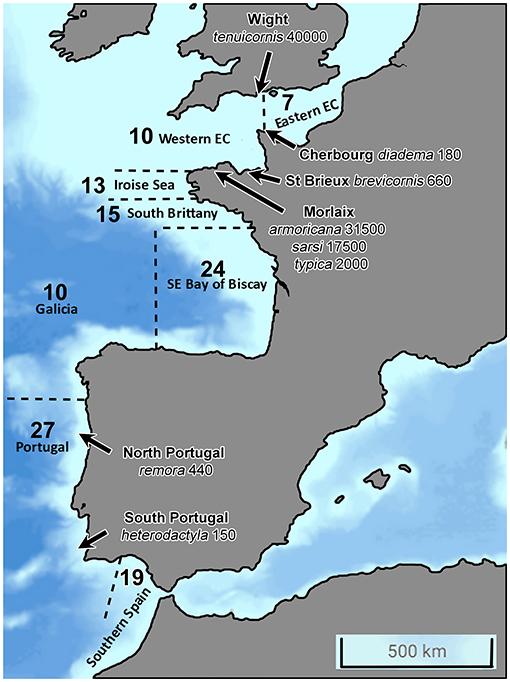 www.frontiersin.org