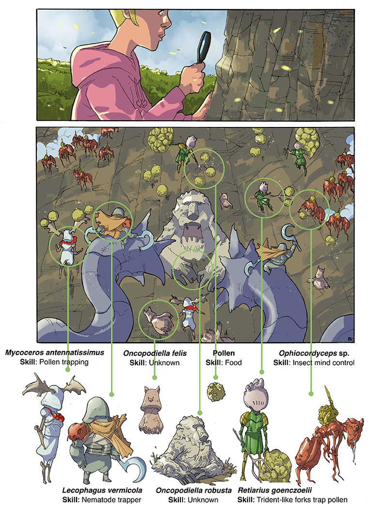 Figure 2 - Cartoon representations of fungi engaged in the war on the “bark side” of trees.