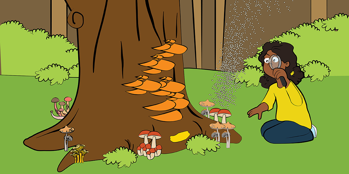 Fungi of the “Bark Side” · Frontiers for Young Minds Fungi of the “Bark Side” · Frontiers for Young Minds