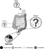 www.frontiersin.org