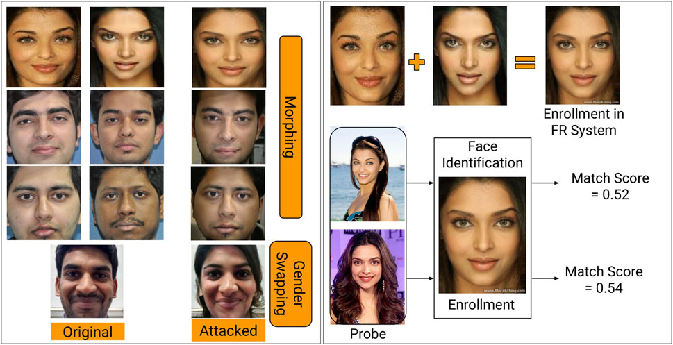 Facial features race - Porn pic