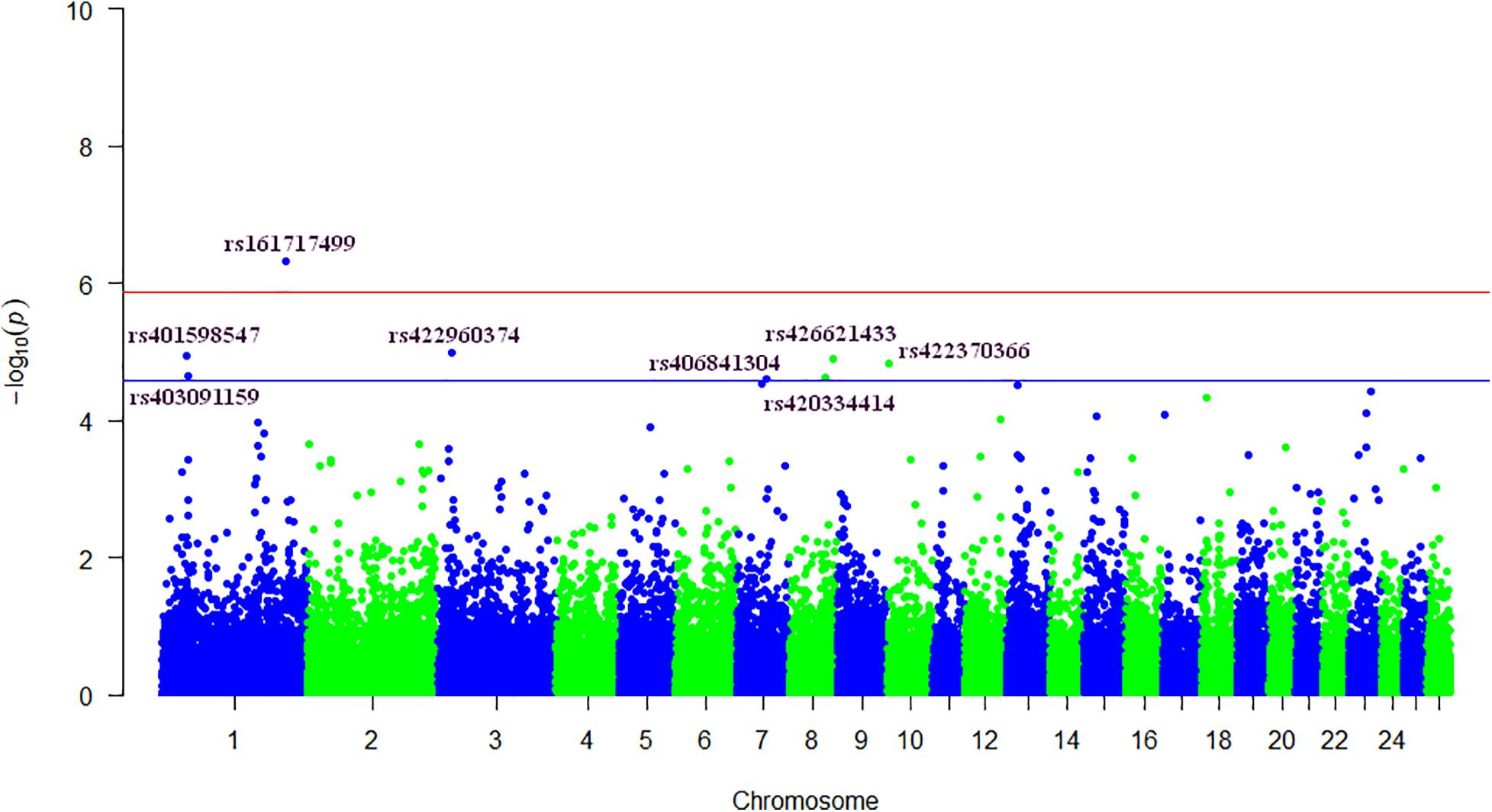 Frontiers  A Genome-Wide Association Study Identifies Candidate