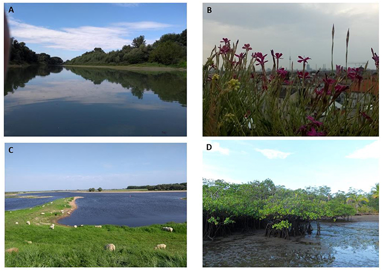 Figure 1 - Nature-based solutions can be used to combat problems in various types of landscapes.