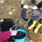 Frontiers | Effects of in situ Remediation With Nanoscale Zero Valence ...