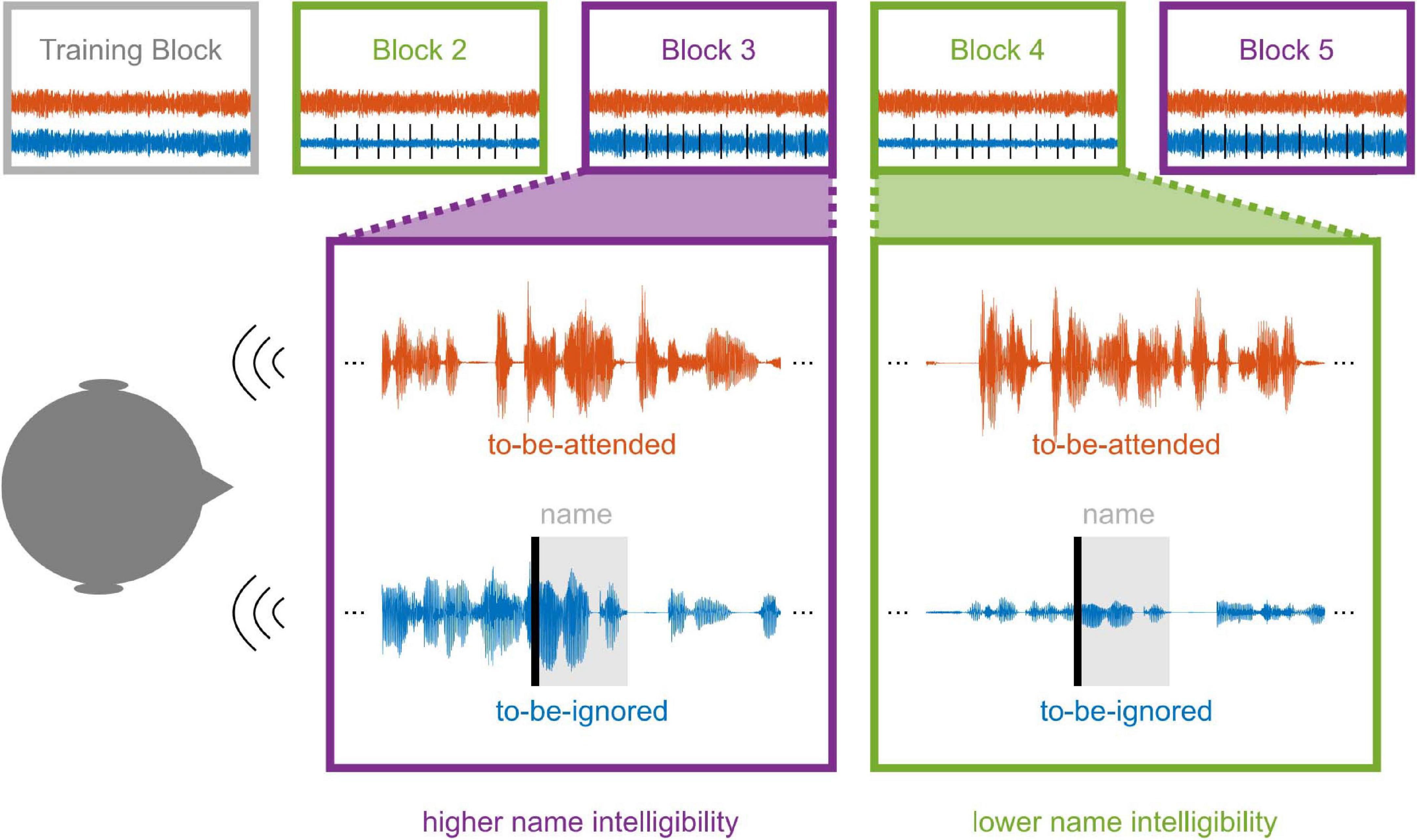 Constant invalid audio rejections to uploaded audio assets - Website Bugs  - Developer Forum