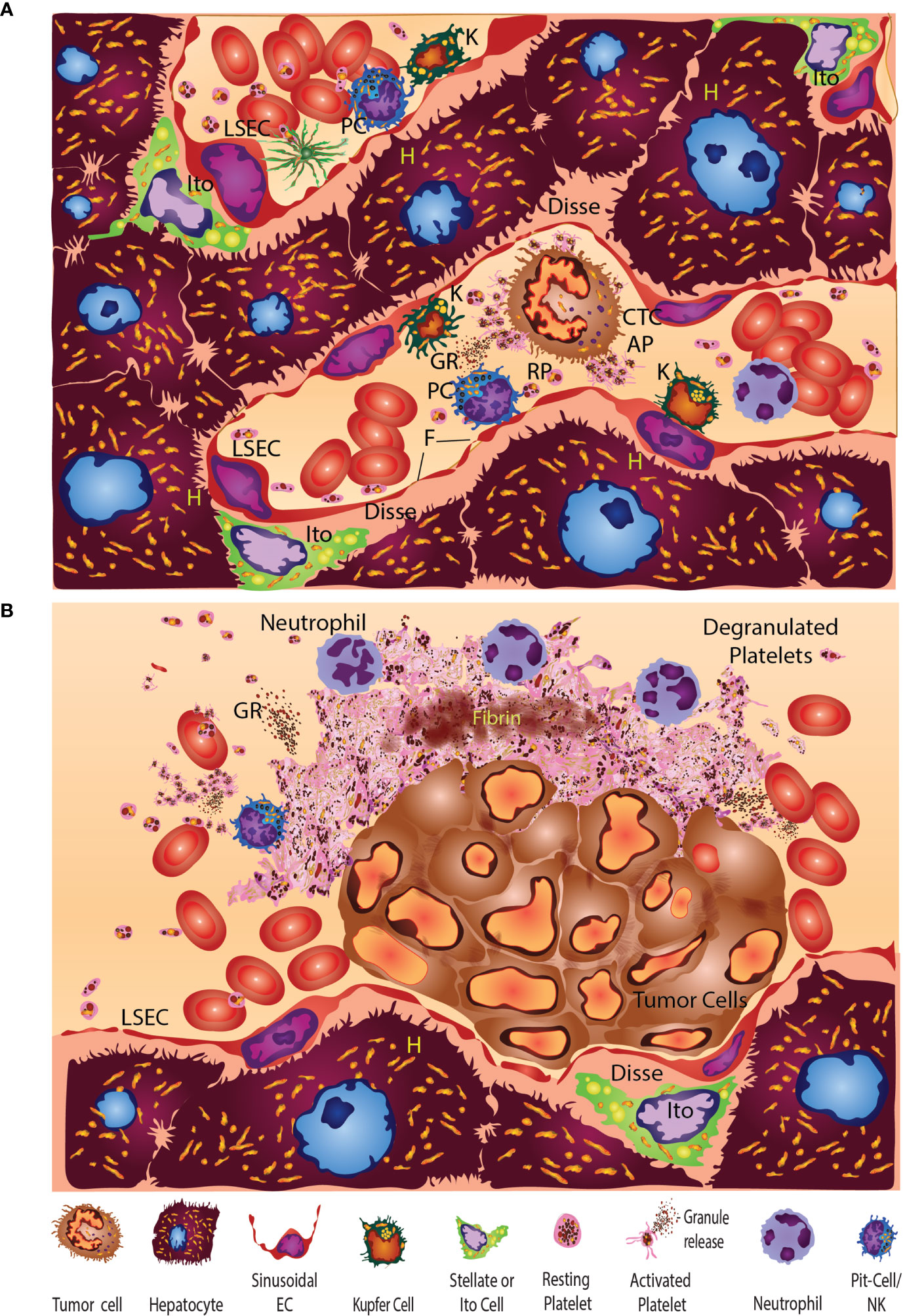 PLATEX SYRUP (PLATELET DYSFUNTION AND THROMBOCYTOPENIA DUE TO CHEMOTHE