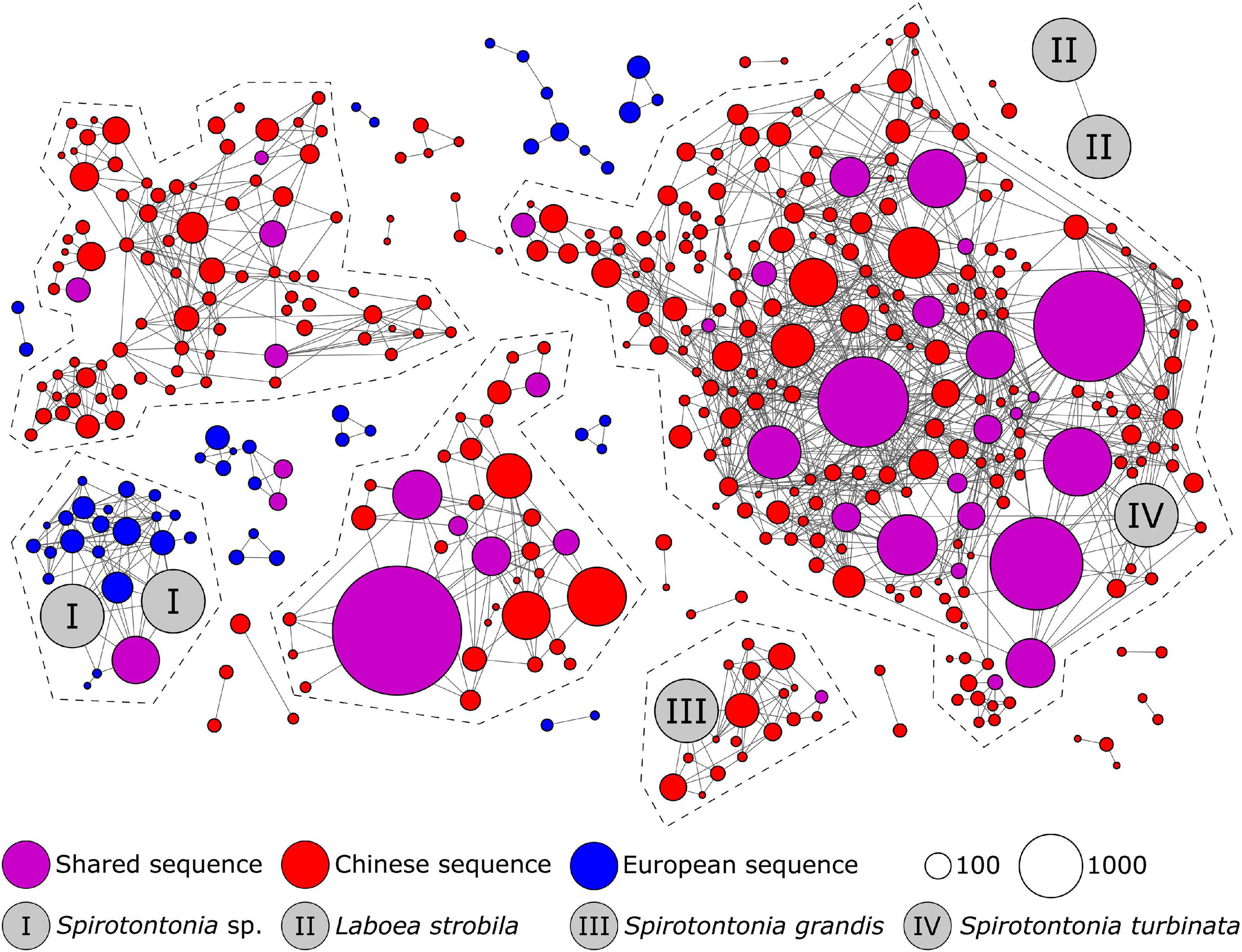 Альвеоляты. Тип Alveolata.. Protists Tree 2022 phylogenetics. Genetic diversity logo. Data pattern