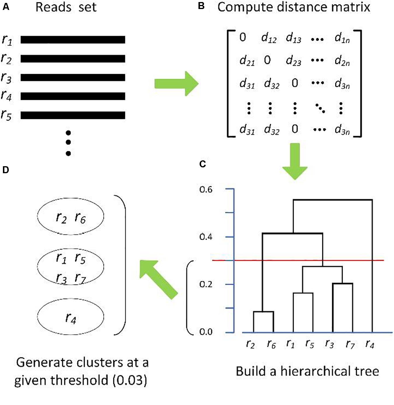 Taxonomic and Functional Variations Induced by an Overloading