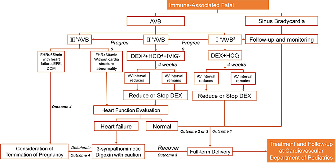 Fetology: Diagnosis and Management of the Fetal Patient