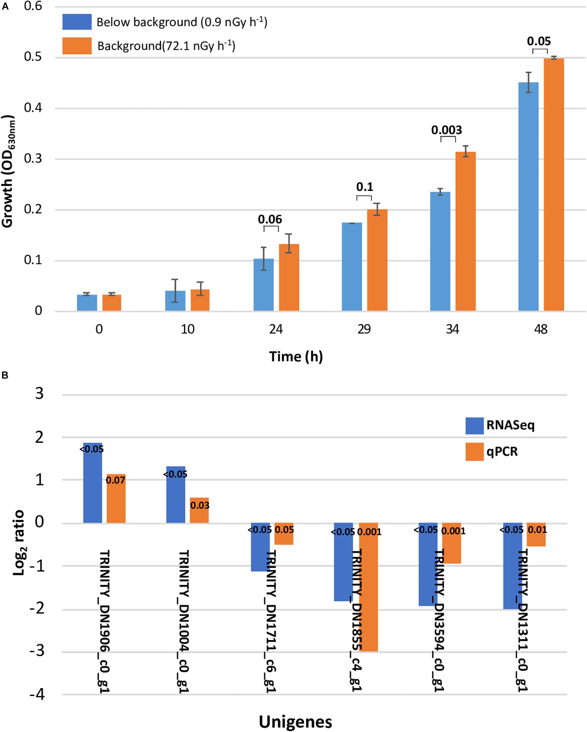 The radioresistant and survival mechanisms of Deinococcus