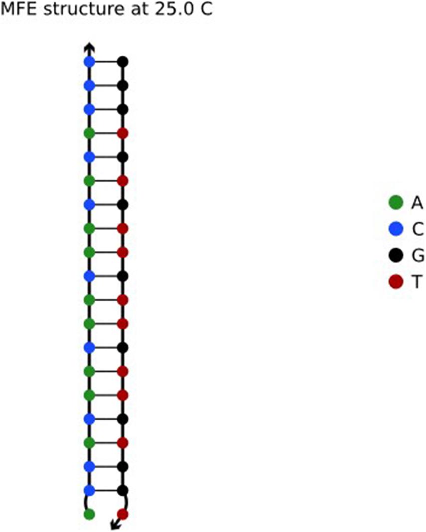 A last-in first-out stack data structure implemented in DNA