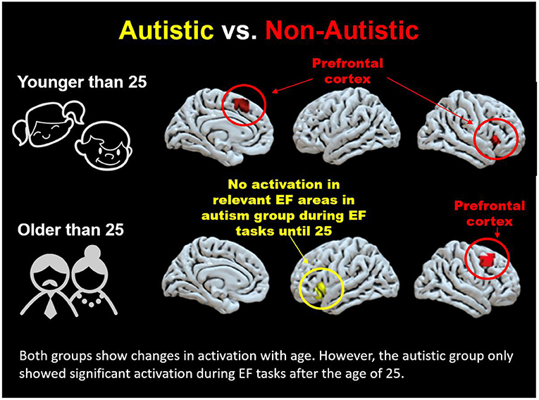 Integrating Brain Imaging Results to Better Understand Autism