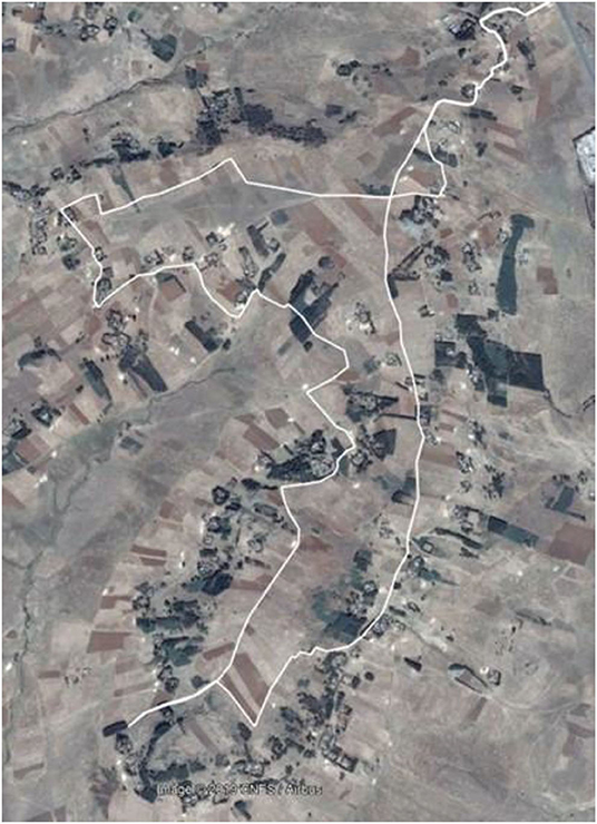 www.frontiersin.org