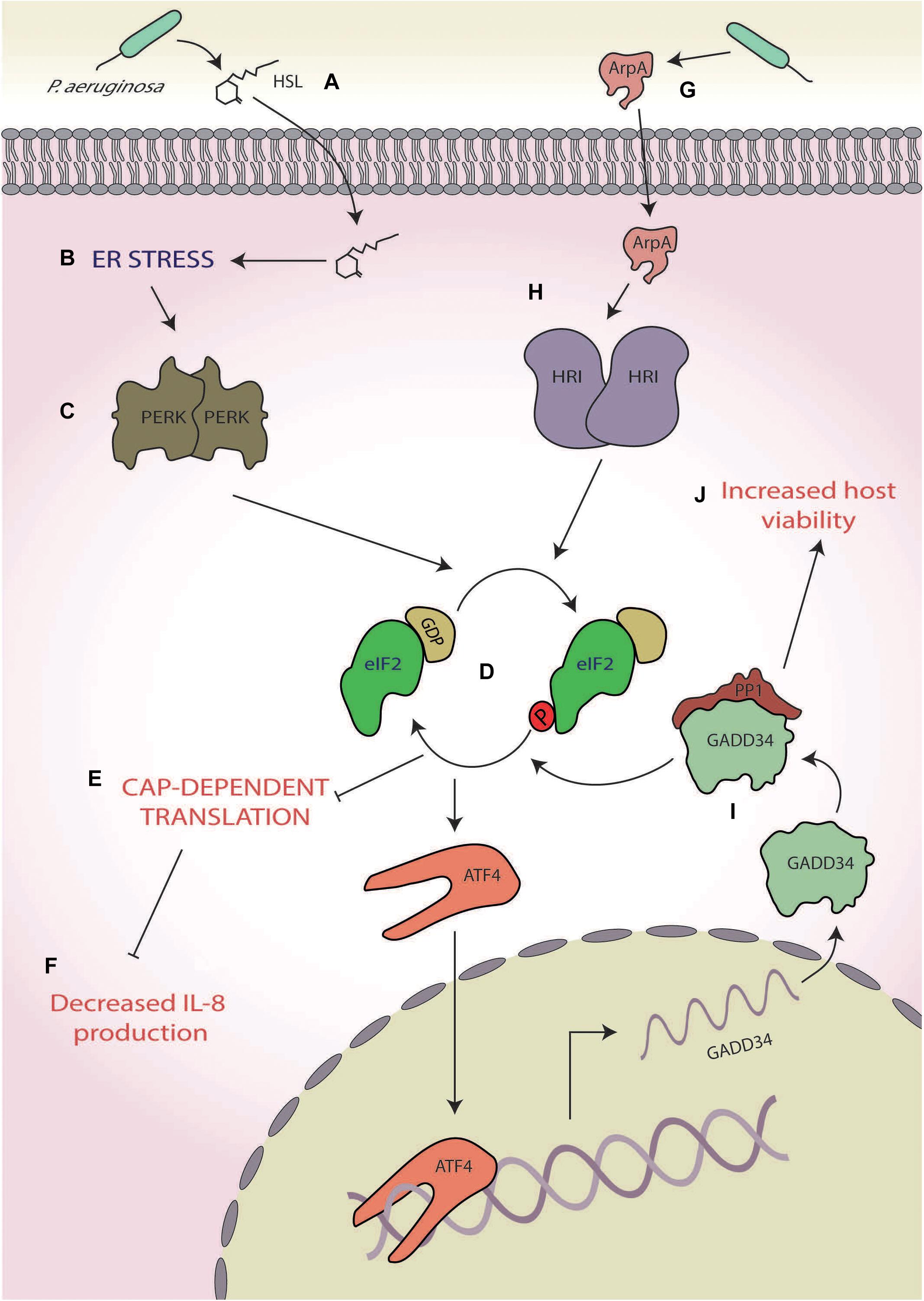 Combat stress reaction - Wikipedia