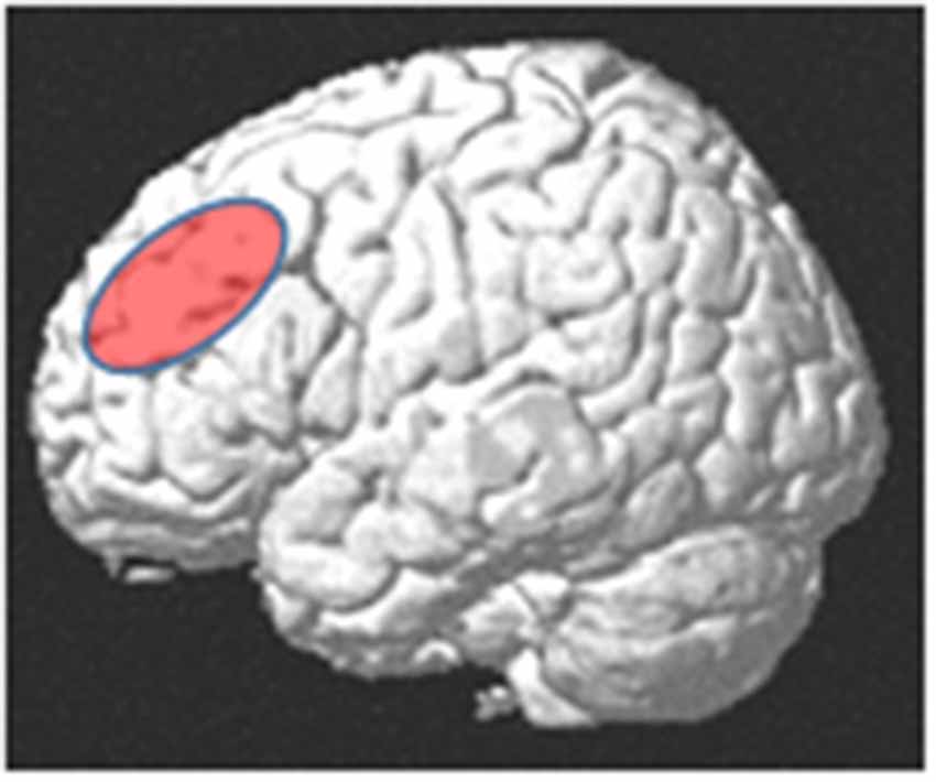 Why is the dorsolatereral prefrontal cortex (DLPFC) the favorite