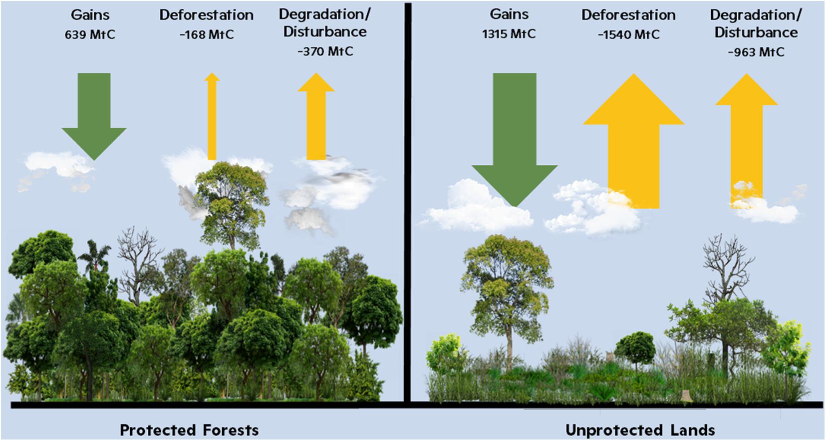 The Air is Unbearable”: Health Impacts of Deforestation-Related Fires in  the Brazilian