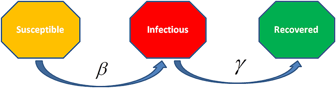 www.frontiersin.org