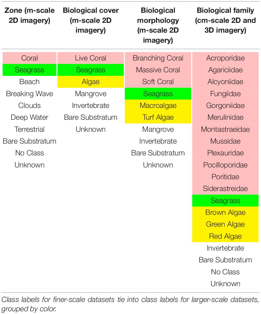 NeMO-Net - The Index Project