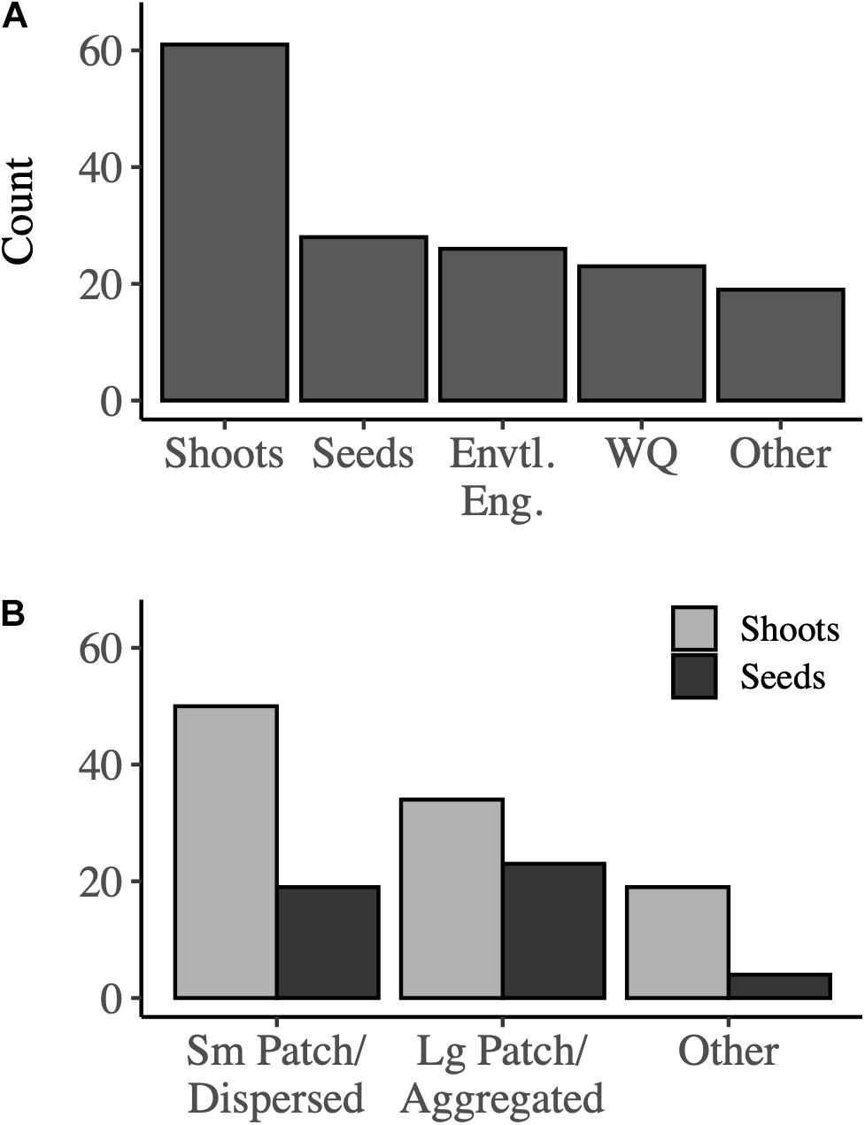 Seagrass – News, Research and Analysis – The Conversation – page 1