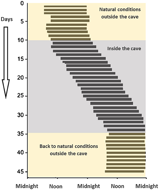 Figure 1 - Siffre’s cave experiment.