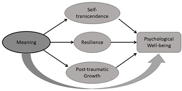 Turning Regret into Resilience: A Perspective on Mistakes