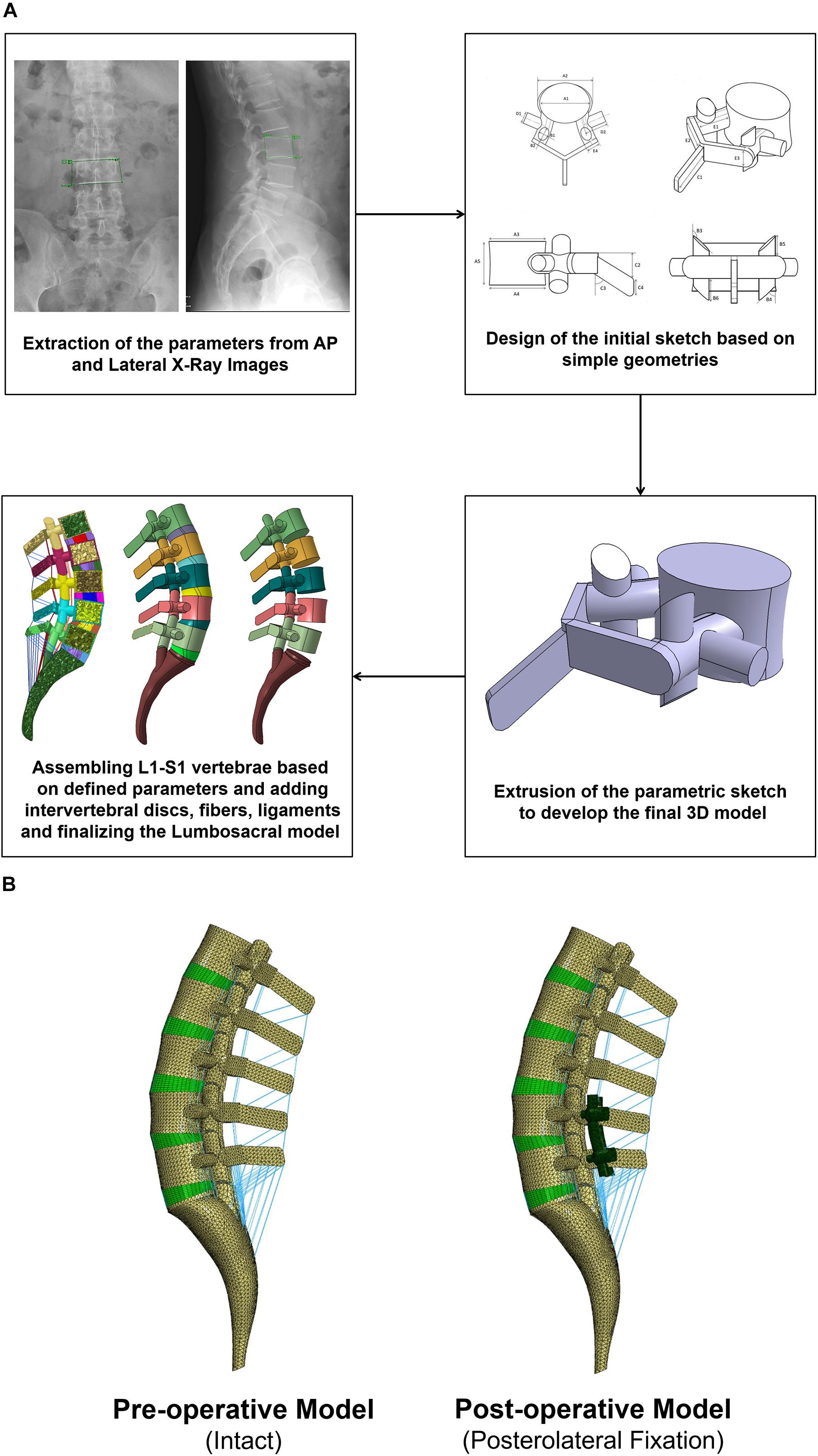 Biomechanics of the Spine: the ROM of the Spine