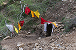 www.frontiersin.org