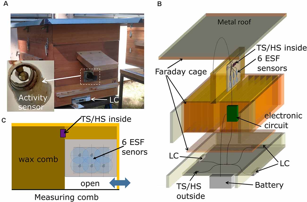 cage de Faraday action France