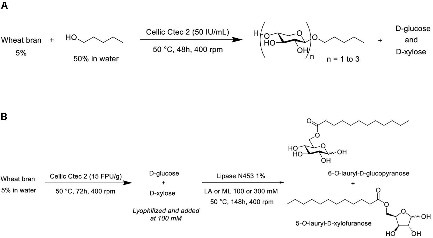 Difference between xylose and glucose