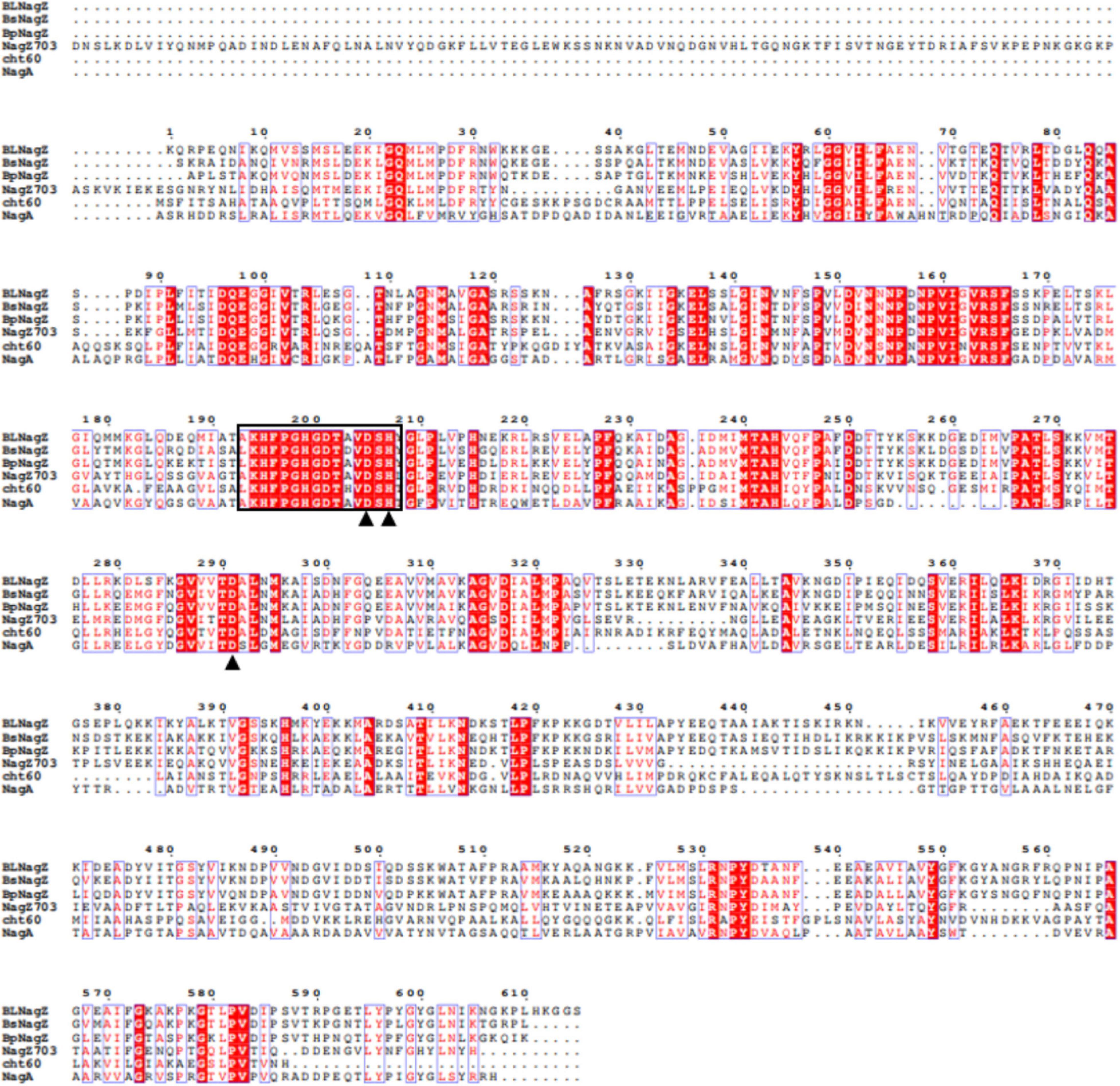 Frontiers High Level Extracellular Expression Of A New B N Acetylglucosaminidase In Escherichia Coli For Producing Glcnac Microbiology