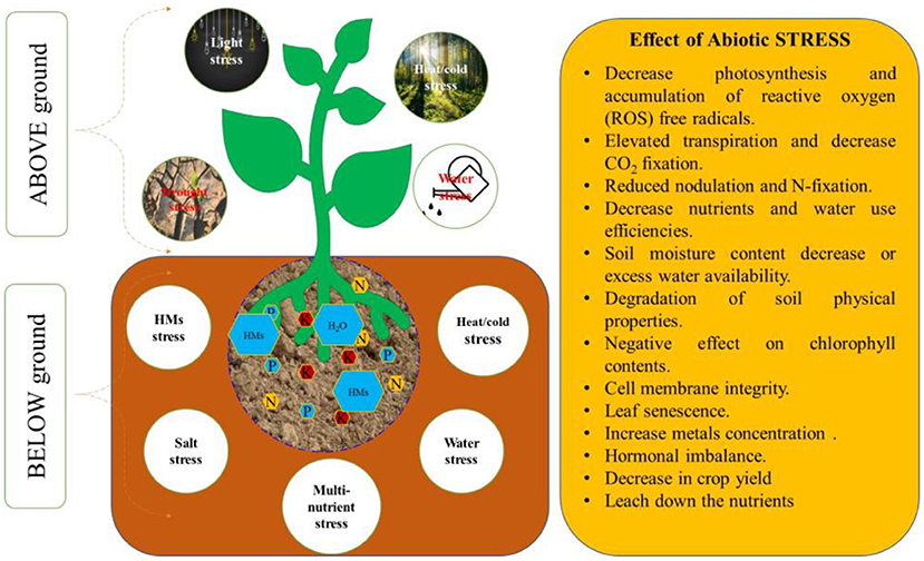 Frontiers | Potential Role of Plant Growth Regulators in Administering  Crucial Processes Against Abiotic Stresses