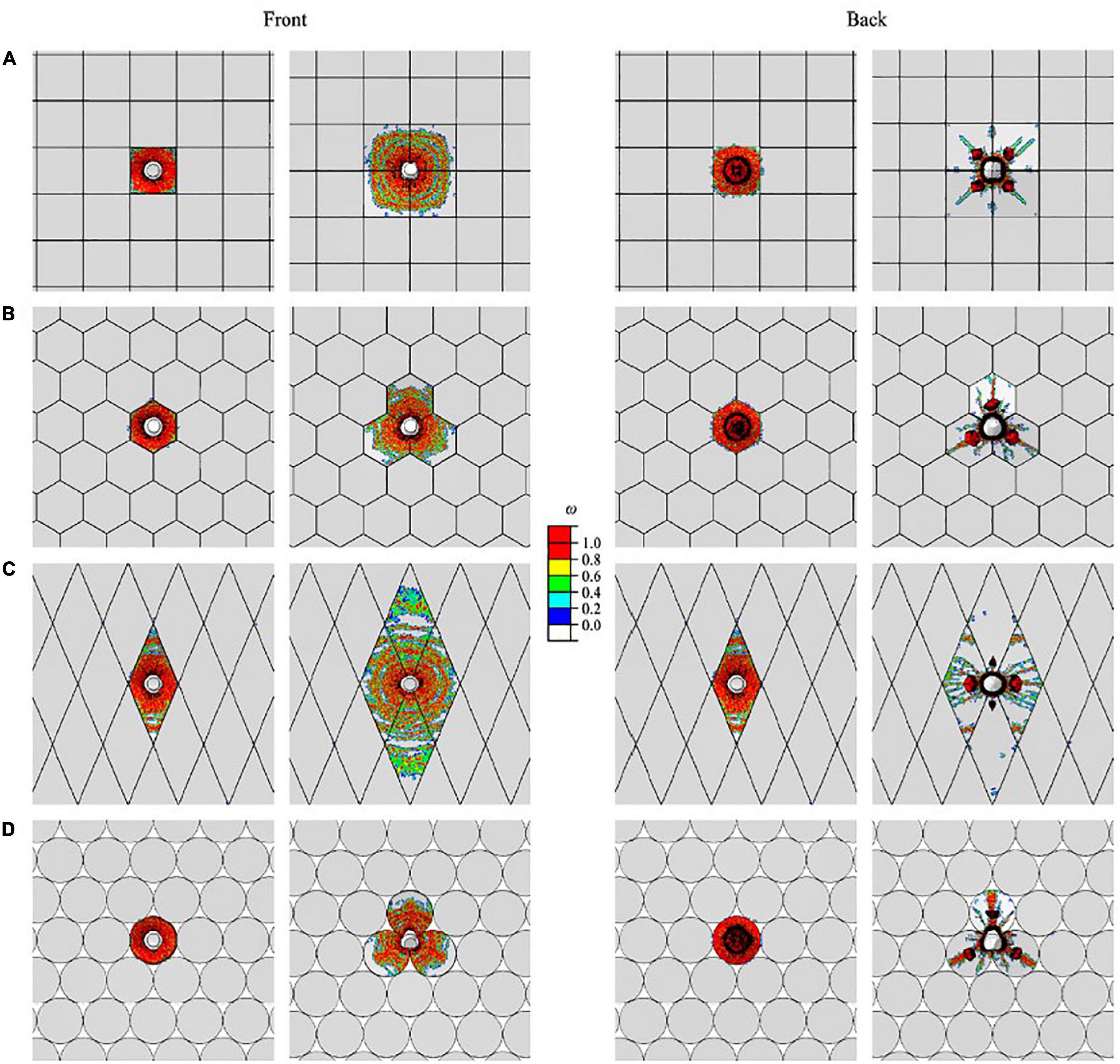 Frontiers  Fish Scales and Their Biomimetic Applications