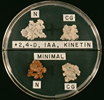 www.frontiersin.org