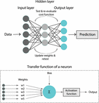 Frontiers | Determination of Aortic Characteristic Impedance and Total ...