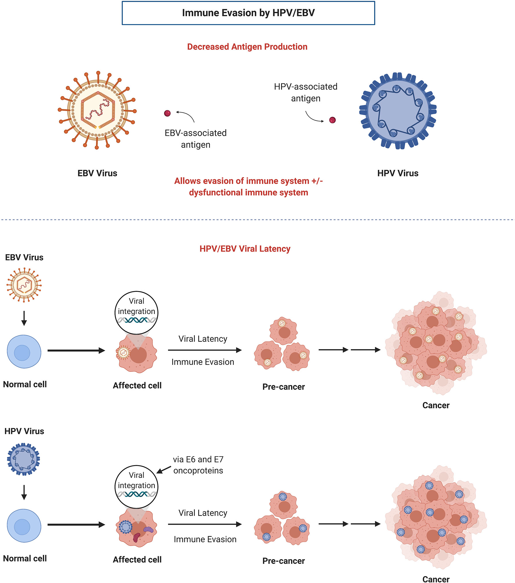 papillomavirus oncolytic virus